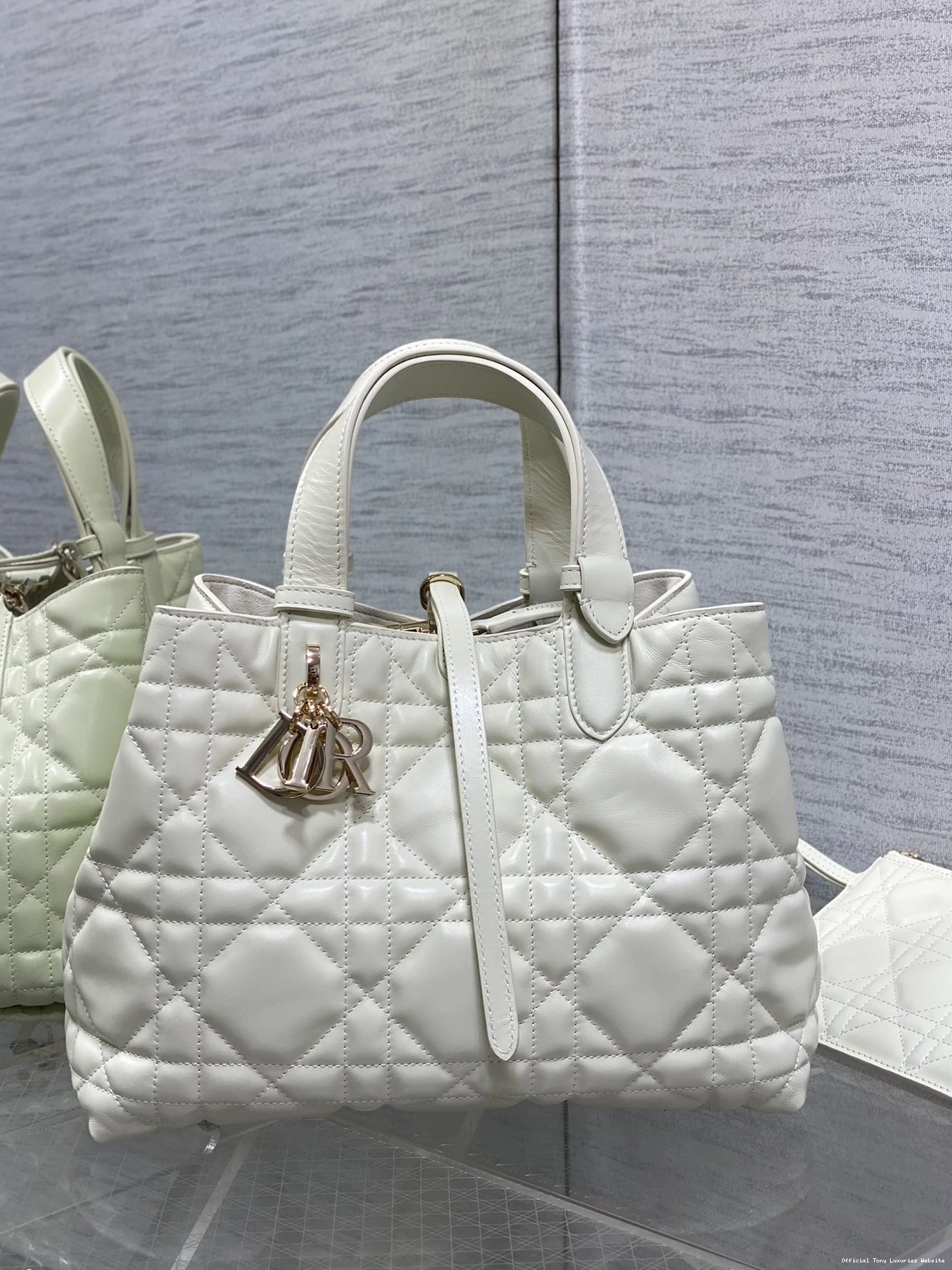 Tony Luxuries MEDIUM TOUJOURS BAG diro 0808